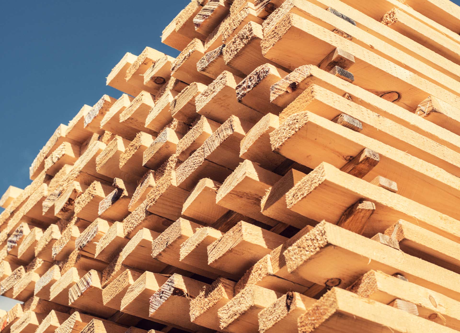 Fichtenholz im Sägewerk – Rohstoff für Bau und Handwerk Fichtenholz im Sägewerk verarbeitet zu Bauholz und Holzprodukten für vielseitige Anwendungen.